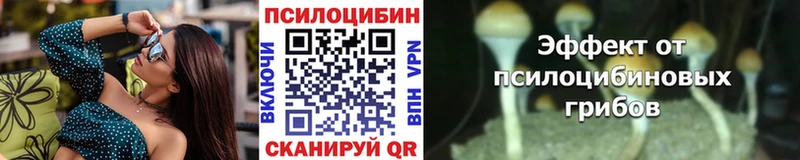 Купить закладки  Нарьян-Мар  Псилоцибиновые грибы прущие грибы 