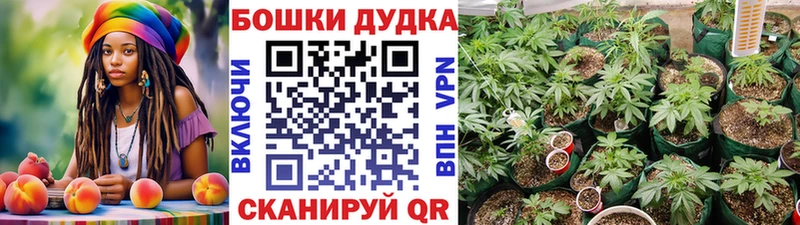 Купить Нарьян-Мар Канабис SATIVA & INDICA